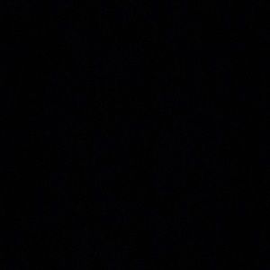 Meet your Posher, Sasha